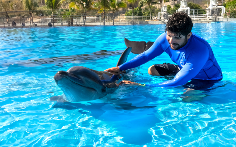 Dolphin trainer caring for a dolphin in Cabo Adventures Dolphin Center