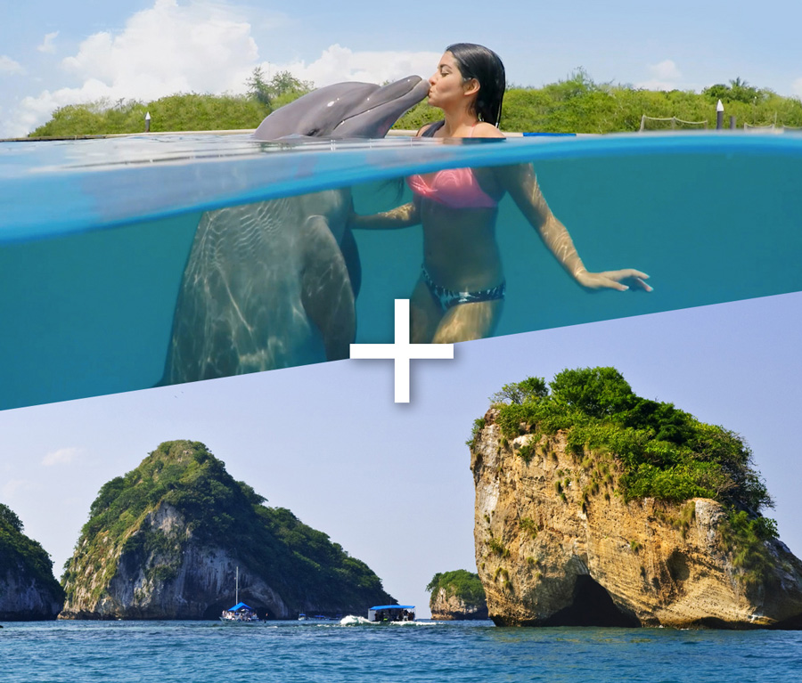 Dolphin swim + a visit to Los Arcos