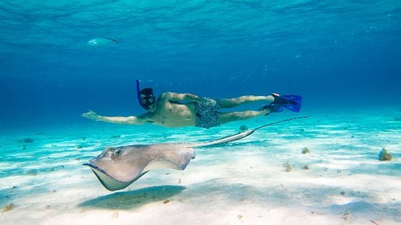 What is snorkeling like in El Cielo?