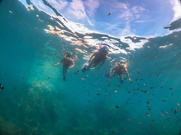 Family snorkeling on the Isla Marietas Eco-Discovery tour
