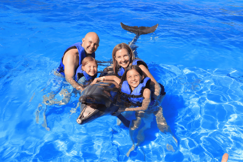 family swim with dolphins