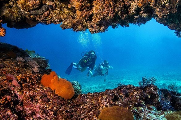 Scuba divers exploring the marietas islands marine reserve