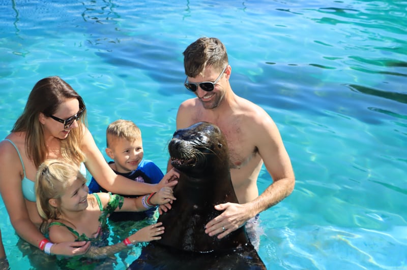 Family playing with a sea lion