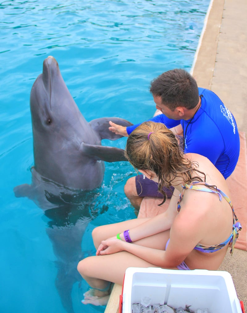 girl receiving education about dolphin care