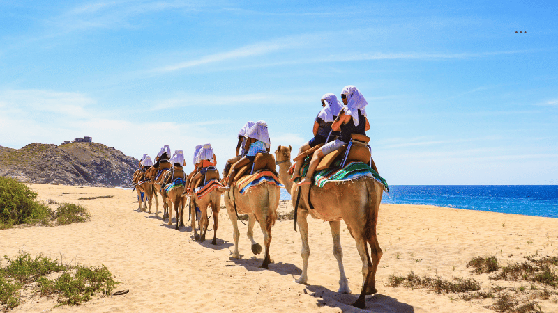 cabo camel ride