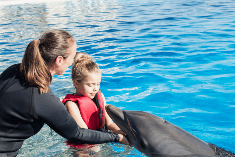 dolphin training cabo