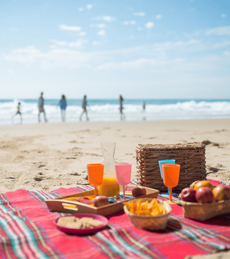 cabo san lucas picnic on the beach