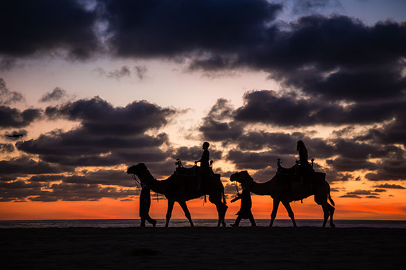 Two people riding camels at sunset during our Outback and Camel Ride Safari.