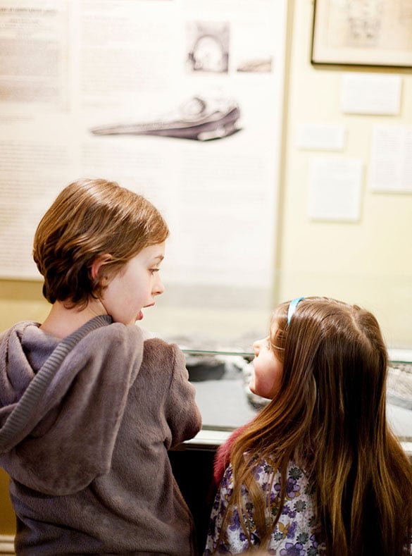 Children looking at an exhibit in a museum