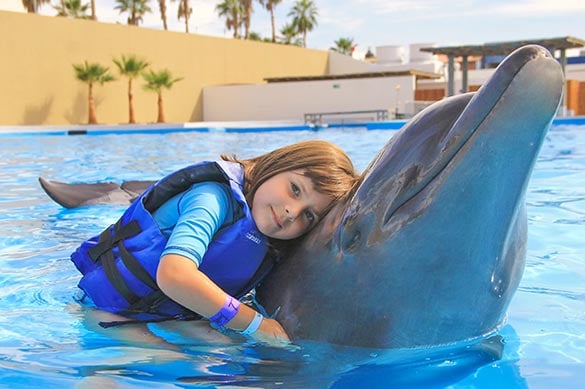 A child hugging a dolphin