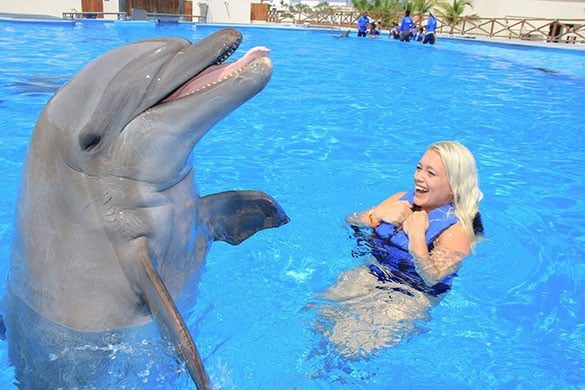 A dolphin swimming in the water with a woman