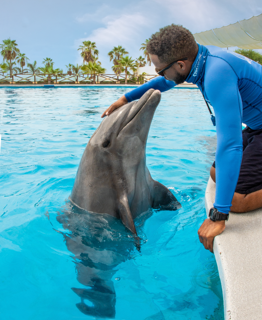 dolphin care givers at Cabo Dolphins