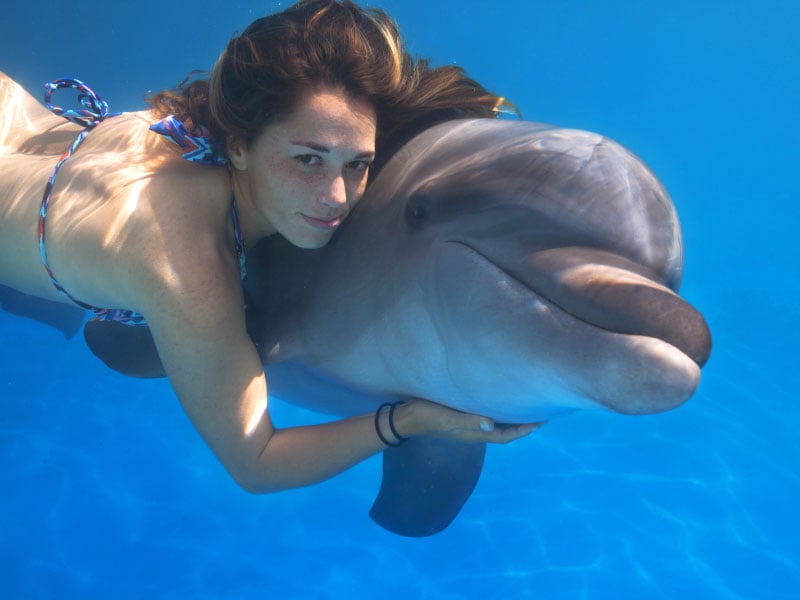 Dolphin interaction | Vallarta Adventures