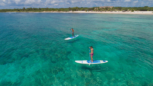 Take part in paddle boarding, one of Cancun’s most popular watersports