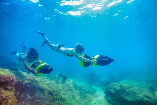 PUERTO VALLARTA SNORKELING: THE BEST PLACES TO GO AND WHAT TO EXPECT ...