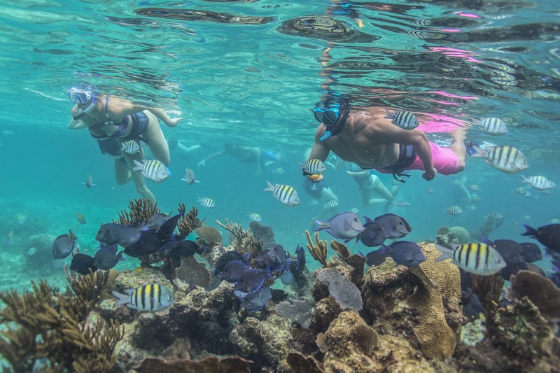 snorkeling at the coba reef