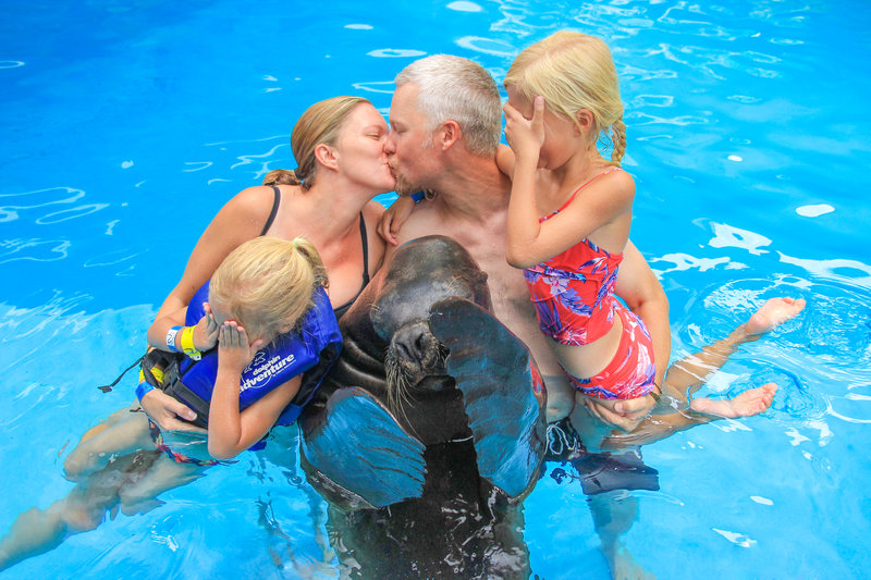 parents kiss while kids and sea lions cover their eyes