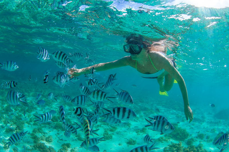 girl snorkeling in cabo pulmo underwater next to fish