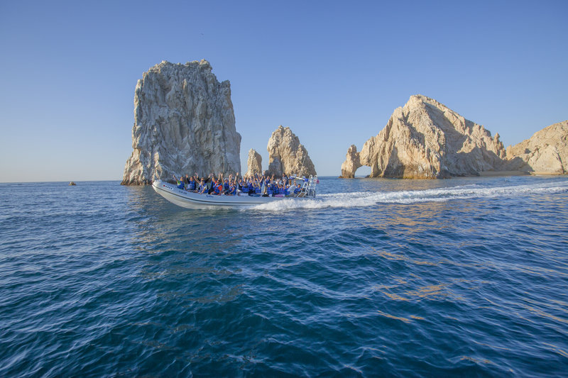 cabo adventures fast boat adventure