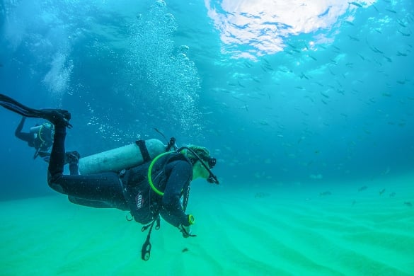 Scuba Dive in Los Anegados with Vallarta Adventures