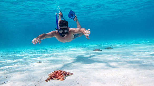 Man snorkeling next to starfish in Cancun, Mexico