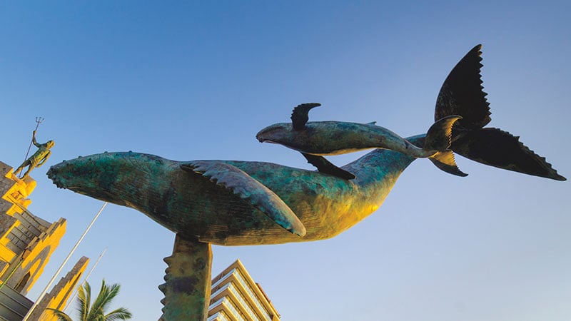 The Vallarta Whale sculpture