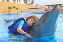 dolphin facts for kids