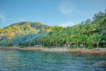 image of the shore of las caletas