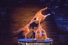 Dancers performing in the rhythms of the night