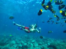 man snorkeling surrounded by fish in puerto vallarta mexico