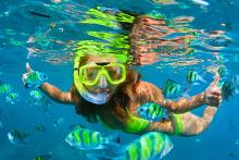 Snorkeling in Cozumel