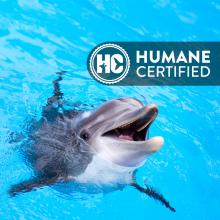 Vallarta Adventure marine mammal center is Humane Certified